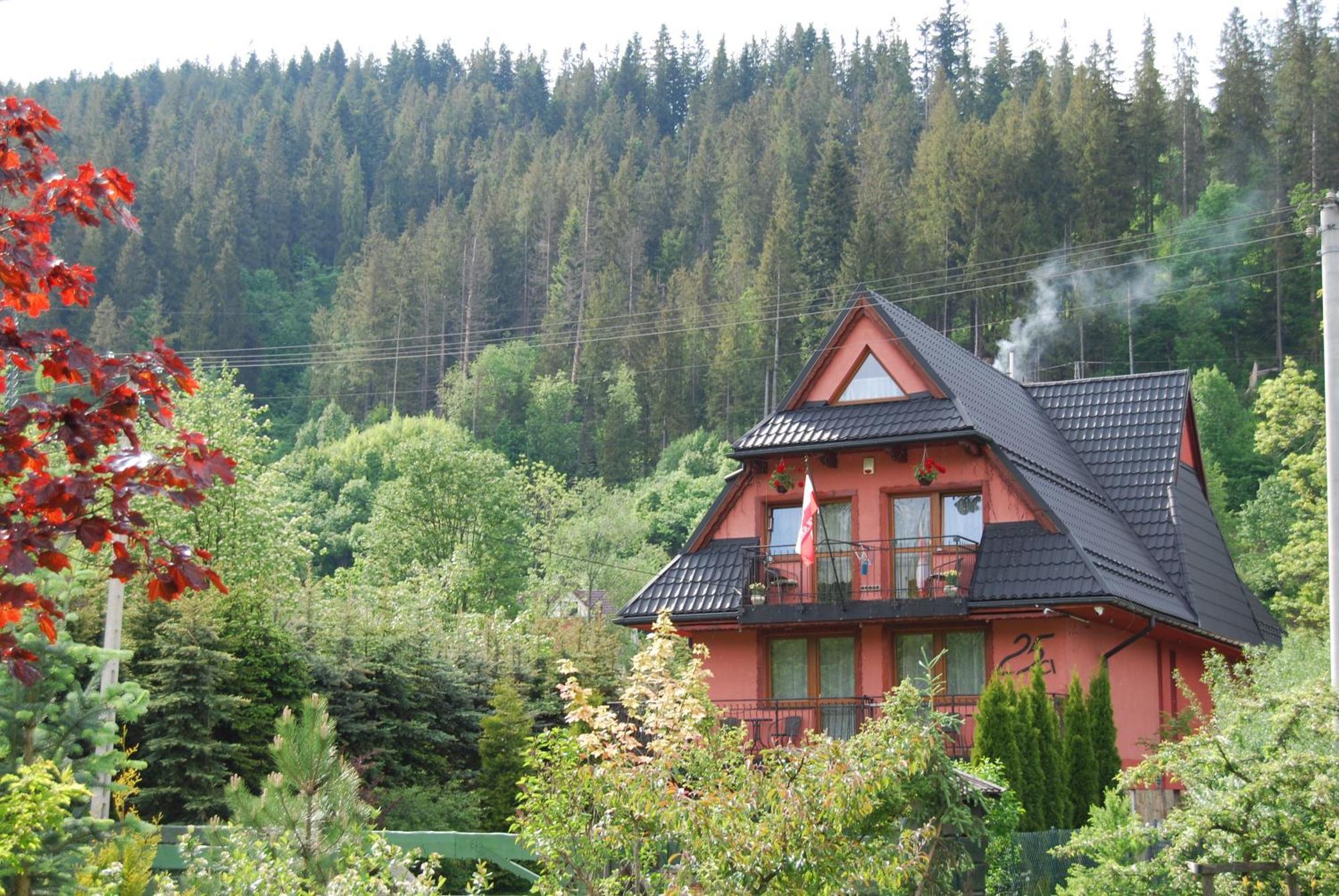 Willa Pod Bandera Zakopane Dış mekan fotoğraf