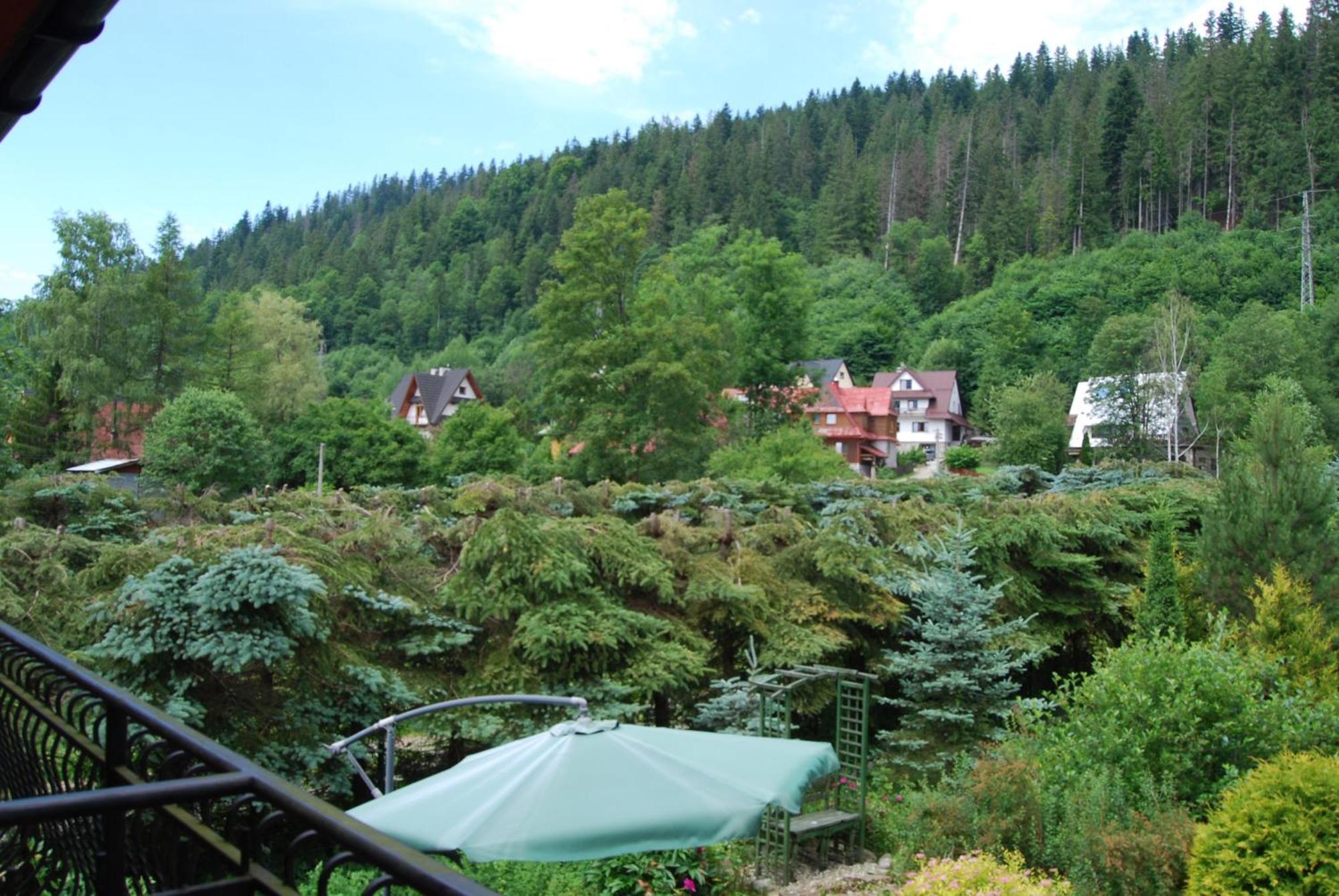 Willa Pod Bandera Zakopane Dış mekan fotoğraf