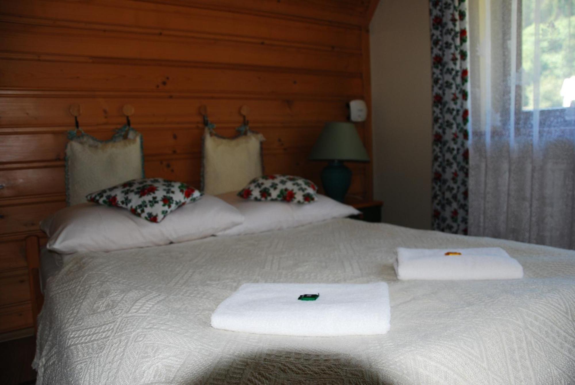 Willa Pod Bandera Zakopane Dış mekan fotoğraf